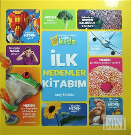 İlk Nedenler Kitabım